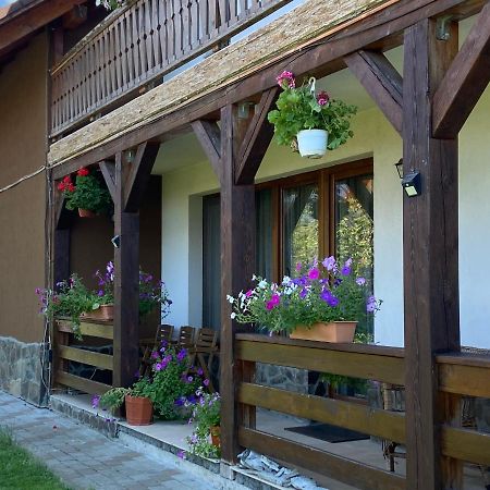 Pensiunea Rares Bistrita Bargaului Extérieur photo