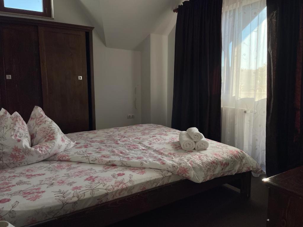 Pensiunea Rares Bistrita Bargaului Extérieur photo
